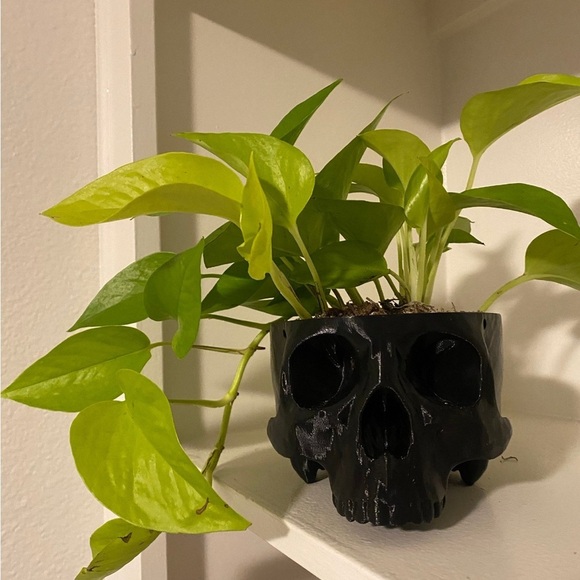 Other - 3D Printed Skull Planter ☠️